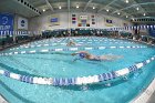 Swimming & Diving vs Babson  Swimming & Diving vs Babson College. - Photo by Keith Nordstrom : Wheaton, Swimming